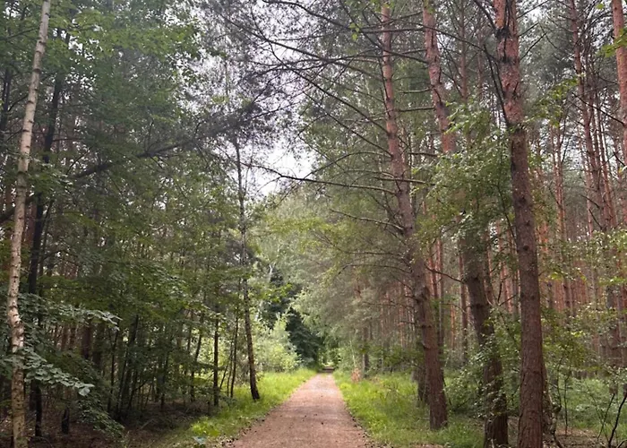 Prázdninový dům Chatinka Kersku Hradistko (Nymburk)